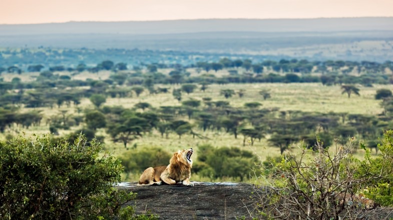 Ngorongoro Crater