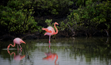 Lake Manyara National Park