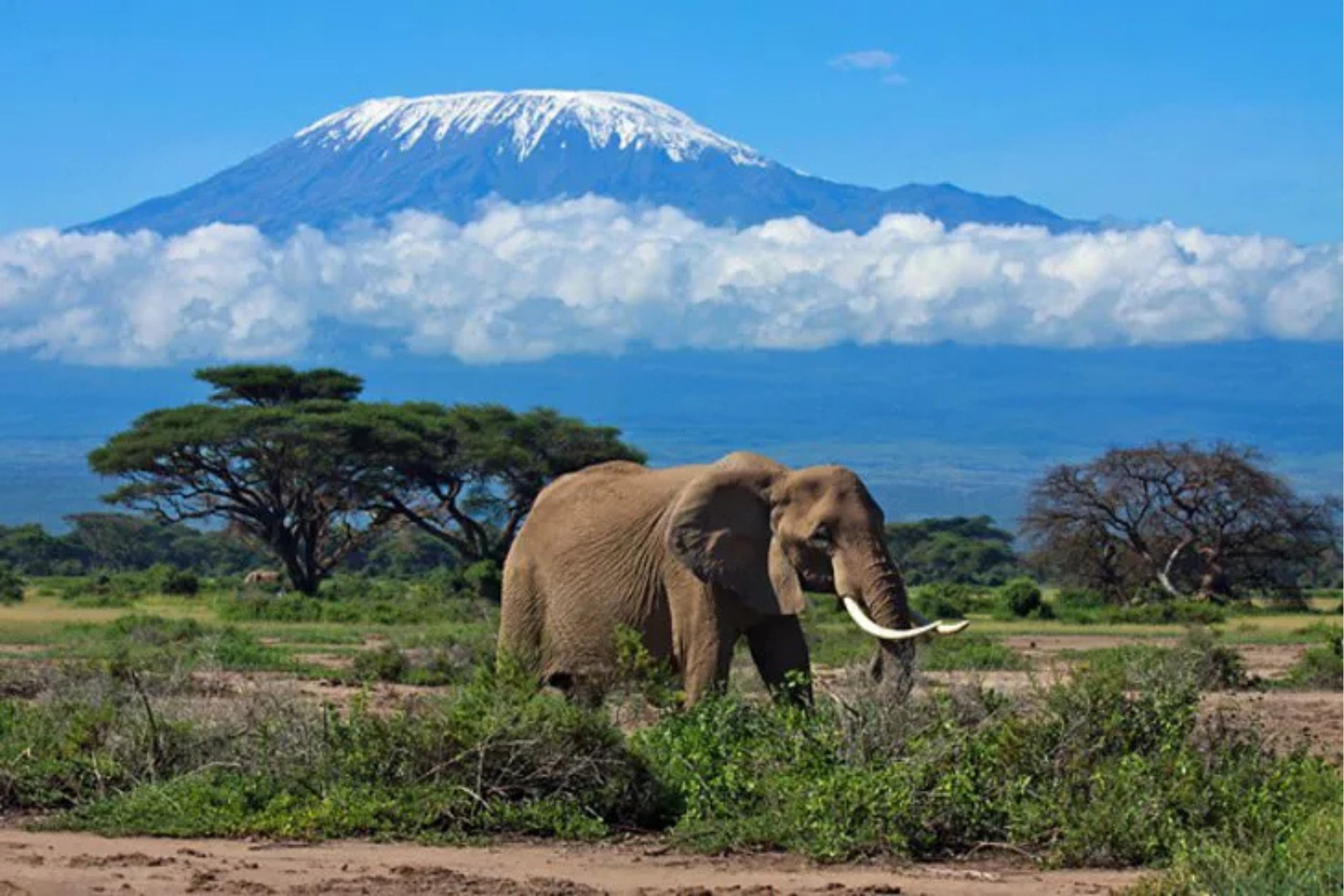 climbing kilimanjaro
